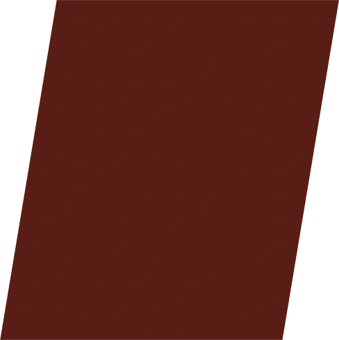 Luxury transportation service Brampton, ON